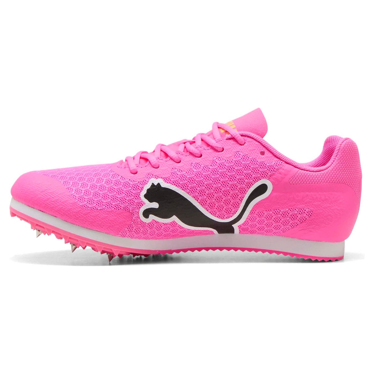Evospeed Star 9 Spike Junior's Track & Field Shoes