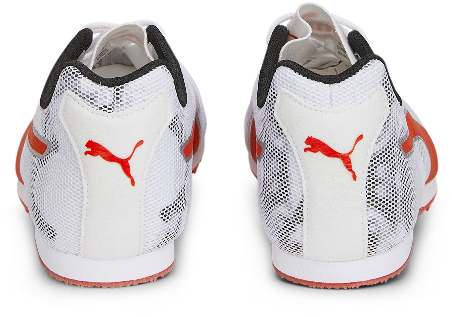 Evospeed Star 8