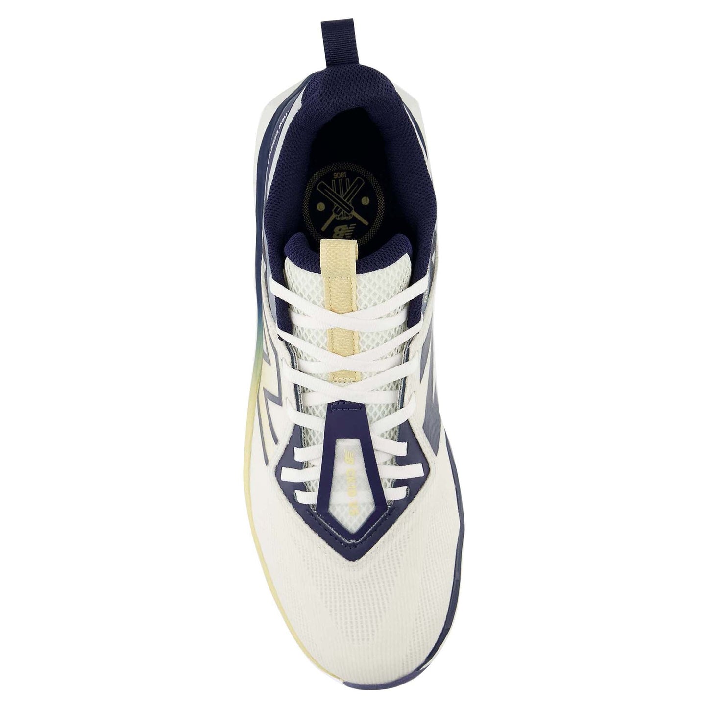 Ck10 V6 Men's Cricket Shoes (Width D)