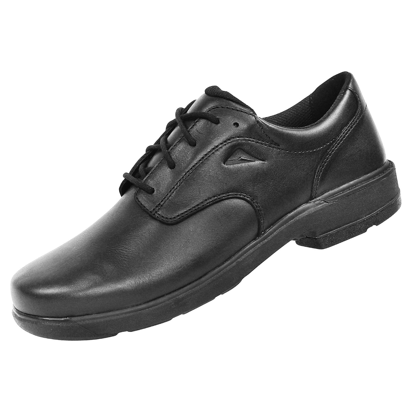 Scholar Men's Senior School Shoes (D)