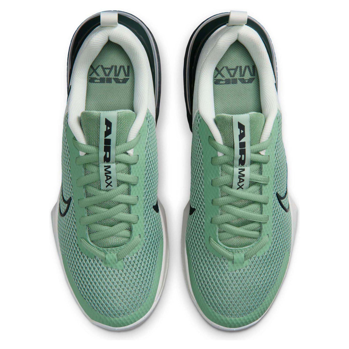 Air Max Alpha Trainer 6 Men's Workout Shoes